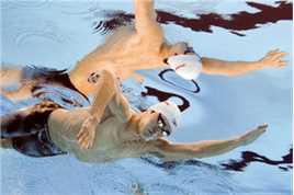 孙杨(Sun Yang)泳者图片图册