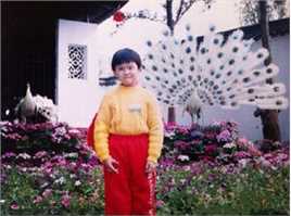 孙杨(Sun Yang)成长历程图片图册