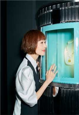 成熟美女陈鲁豫时尚惊艳服饰吸晴艺术造型图片