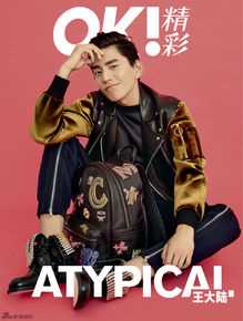 王大陆(Darren Wang)精选杂志图册