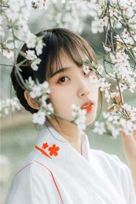 人比花娇的日本小妞精美和服曼妙身姿清纯唯美图片