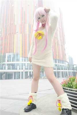 特别专辑螺旋猫《K》猫cosplay图片