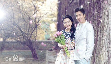 最全杨颖(Angelababy)时尚新娘壁纸