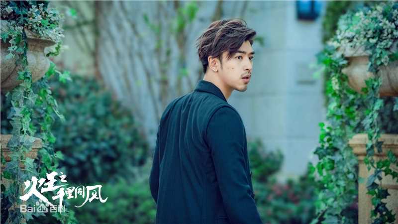 陈柏霖(Bolin Chen)在《火王之千里同风》饰林烨中的