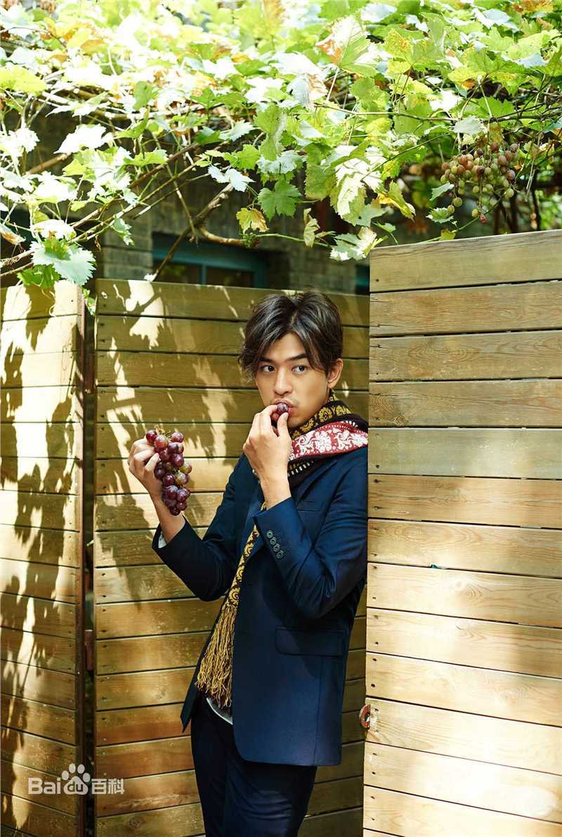 陈柏霖(Bolin Chen)高清·图集