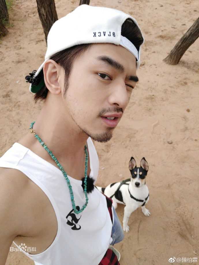 陈柏霖(Bolin Chen)图片图集