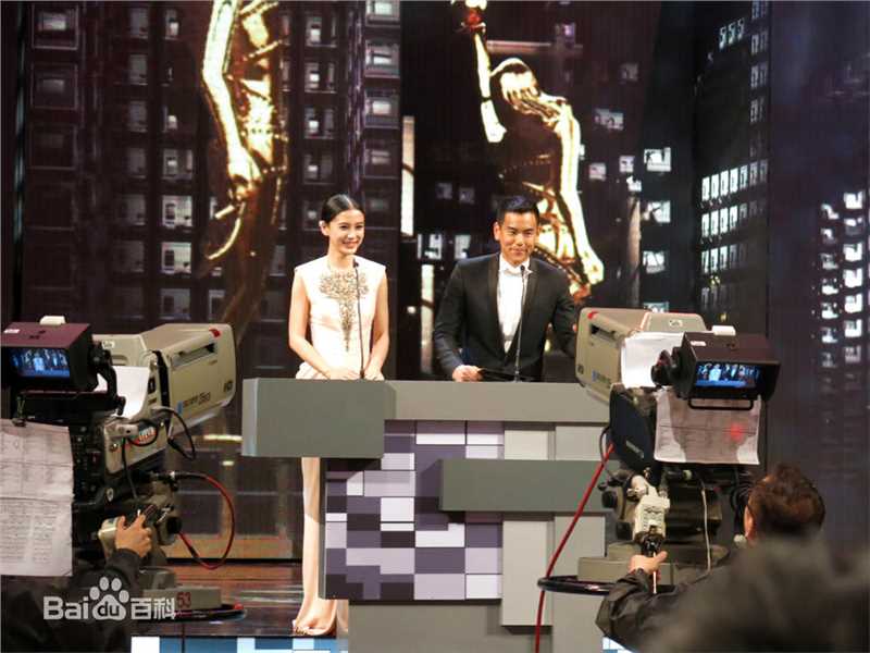 杨颖(Angelababy)主持颁奖礼图片图集