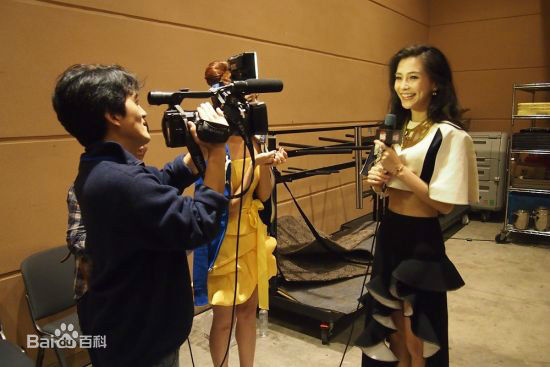 杨颖(Angelababy)主持颁奖礼图片图集