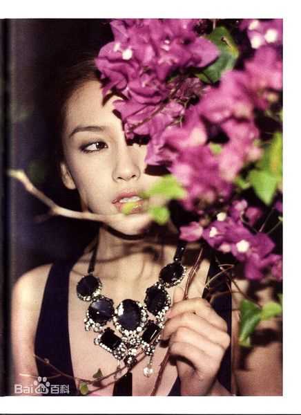 最全夏永康(Wing Shya)精彩图册