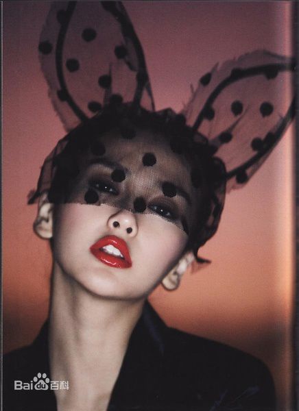 最全夏永康(Wing Shya)精彩图册