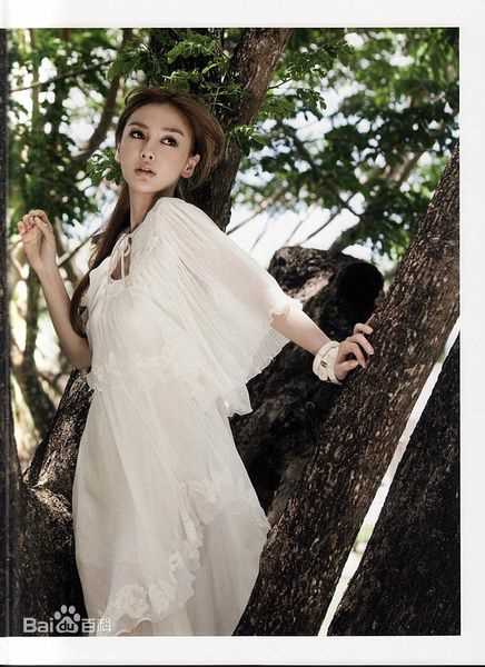 最全夏永康(Wing Shya)精彩图册