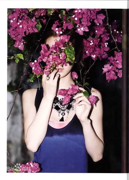 最全夏永康(Wing Shya)精彩图册