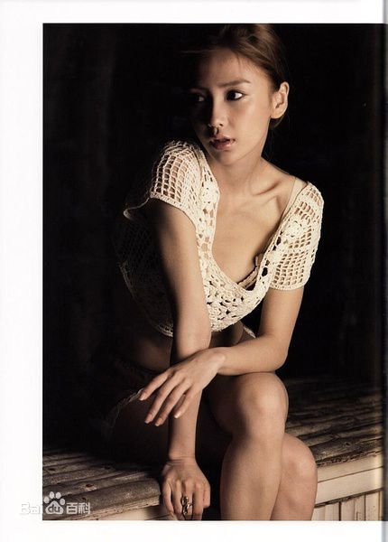 最全夏永康(Wing Shya)精彩图册