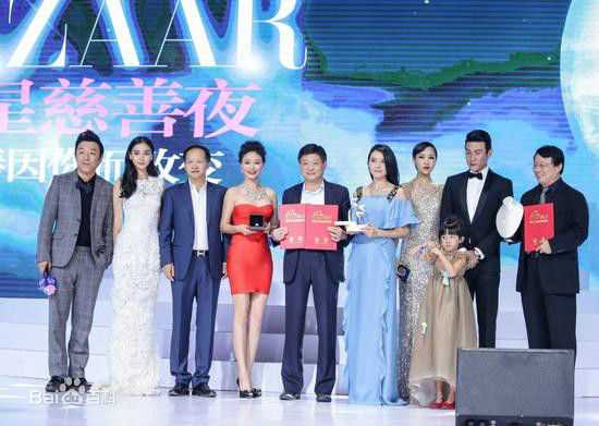 杨颖(Angelababy)芭莎慈善夜拍卖会图册