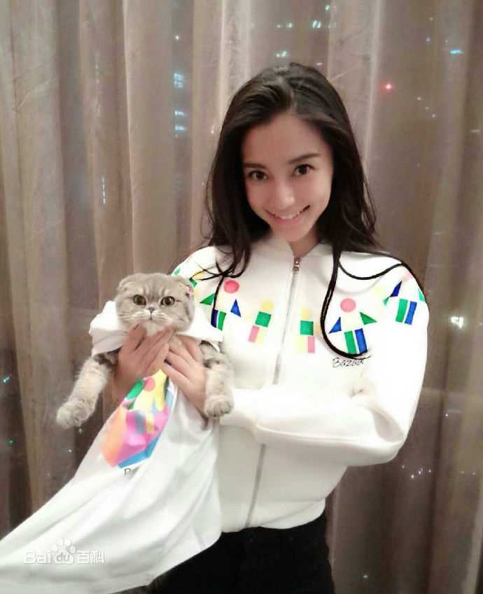 杨颖(Angelababy)芭莎慈善夜拍卖会图册