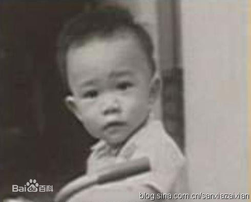 梁朝伟(Tony Leung Chiu Wai)伟仔童年图片图册