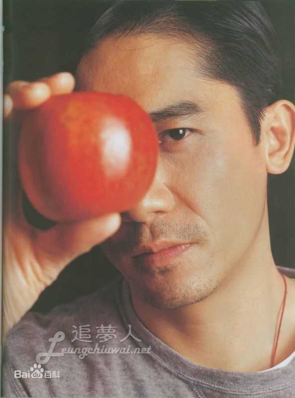 精选梁朝伟(Tony Leung Chiu Wai)精彩图册