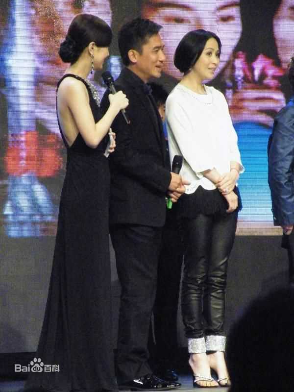 精选梁朝伟(Tony Leung Chiu Wai)在2009《东邪西毒终极版》宣传照中的图册