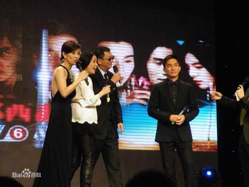 精选梁朝伟(Tony Leung Chiu Wai)在2009《东邪西毒终极版》宣传照中的图册