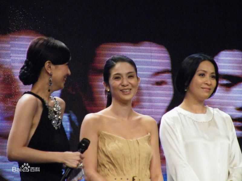 精选梁朝伟(Tony Leung Chiu Wai)在2009《东邪西毒终极版》宣传照中的图册