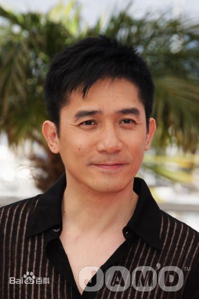 梁朝伟(Tony Leung Chiu Wai)第61届戛纳电影节图片图集