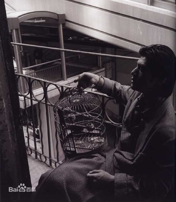 最全金城武(Takeshi Kaneshiro)精彩图册