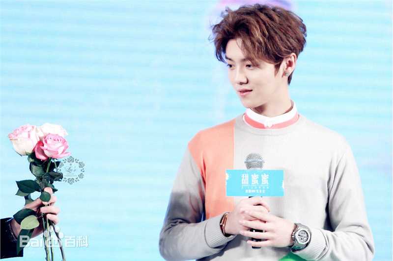 鹿晗(LUHAN)活动出席素颜照壁纸