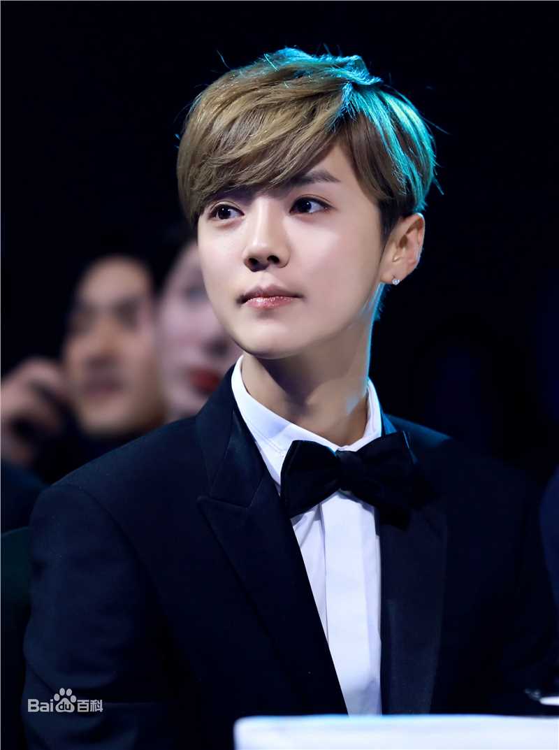 鹿晗(LUHAN)活动出席素颜照壁纸