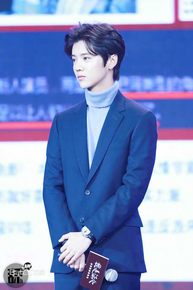 鹿晗(LUHAN)活动出席素颜照壁纸