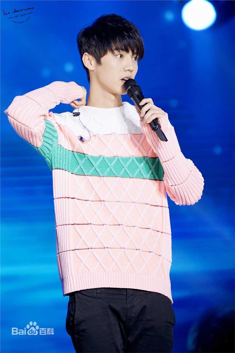 鹿晗(LUHAN)活动出席素颜照壁纸