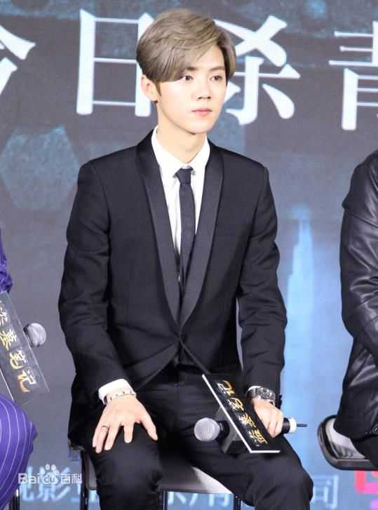 鹿晗(LUHAN)活动出席素颜照壁纸