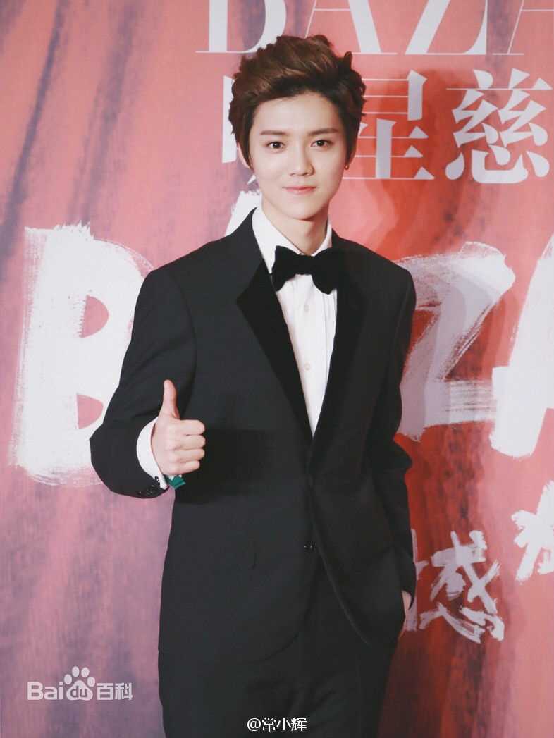 鹿晗(LUHAN)活动出席素颜照壁纸
