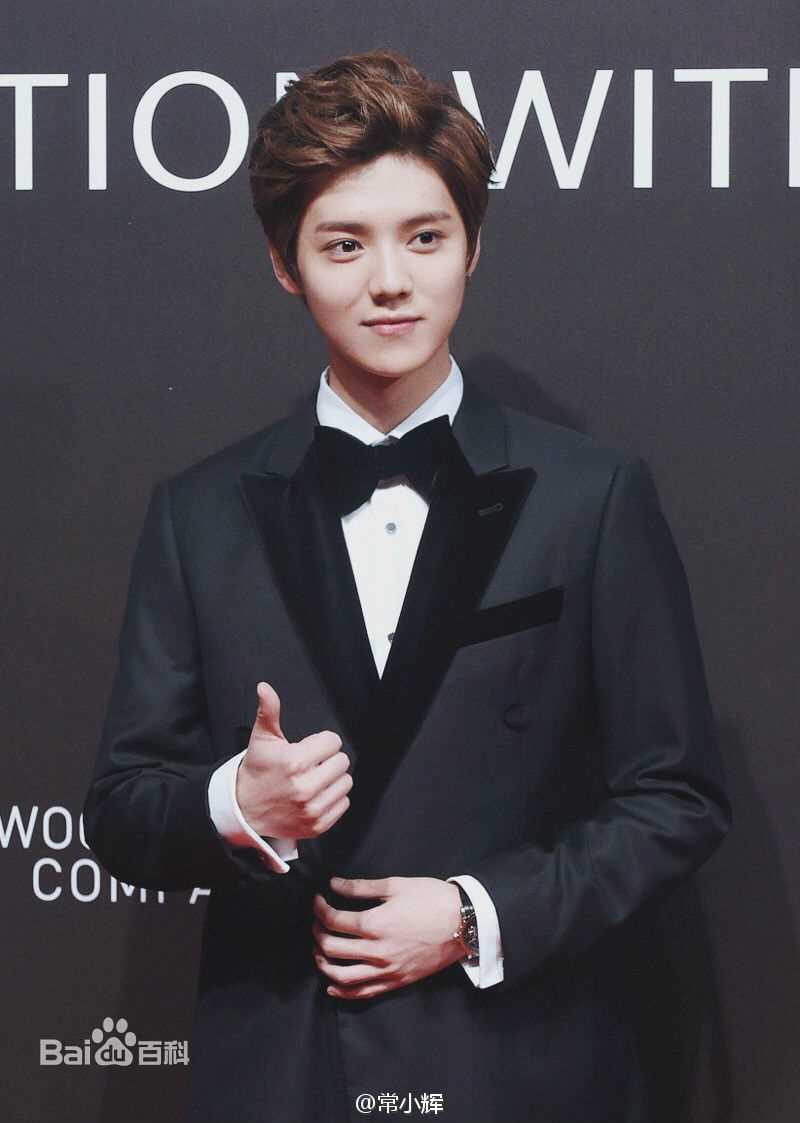 鹿晗(LUHAN)活动出席素颜照壁纸