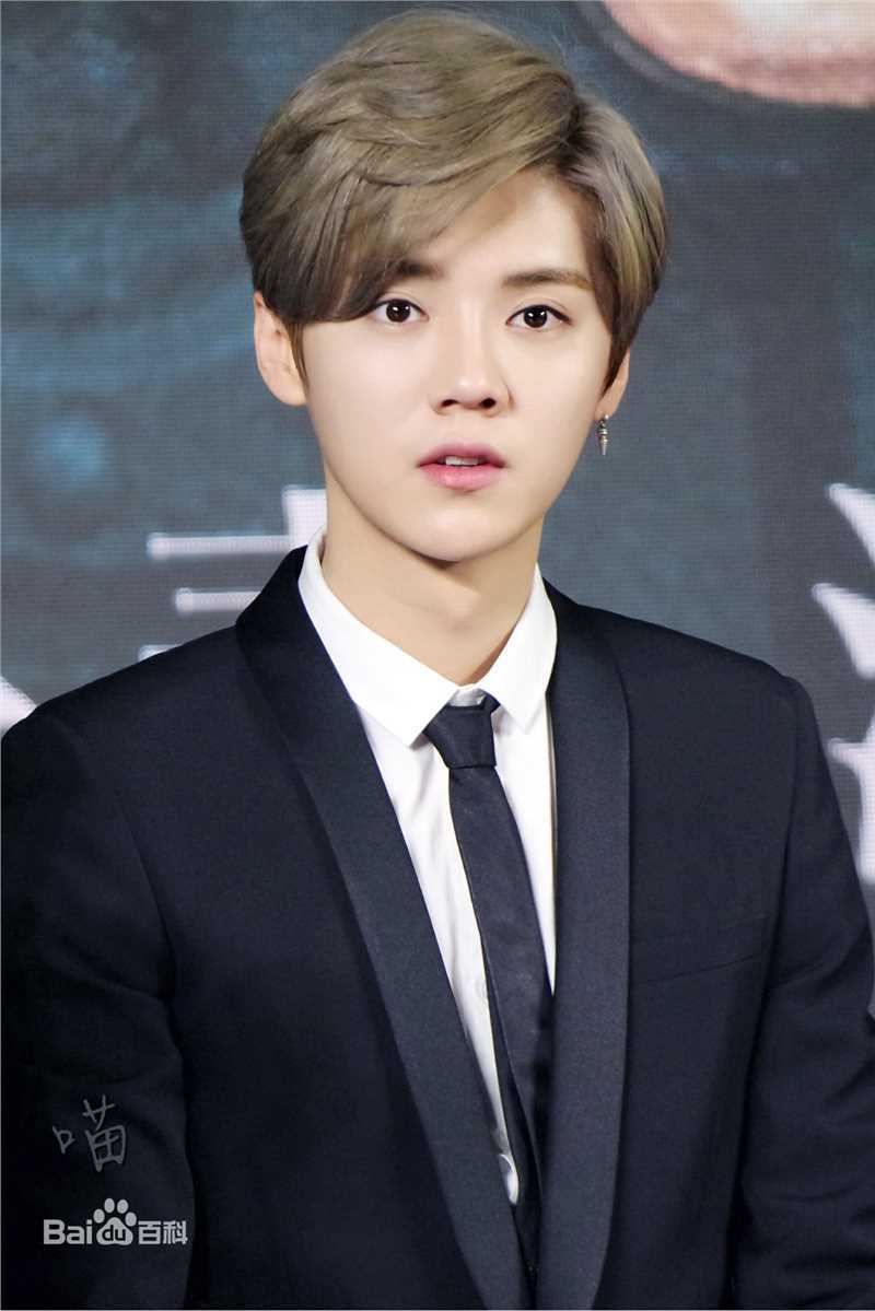 鹿晗(LUHAN)活动出席素颜照壁纸