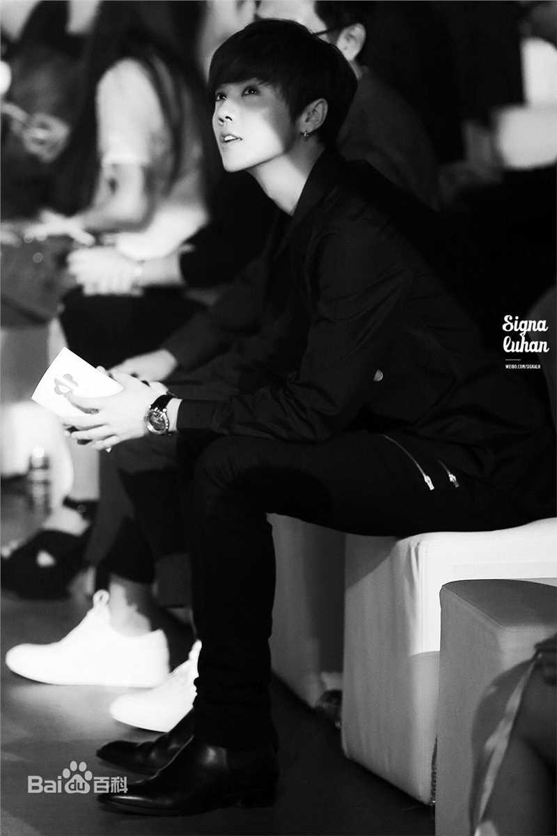 鹿晗(LUHAN)活动出席素颜照壁纸