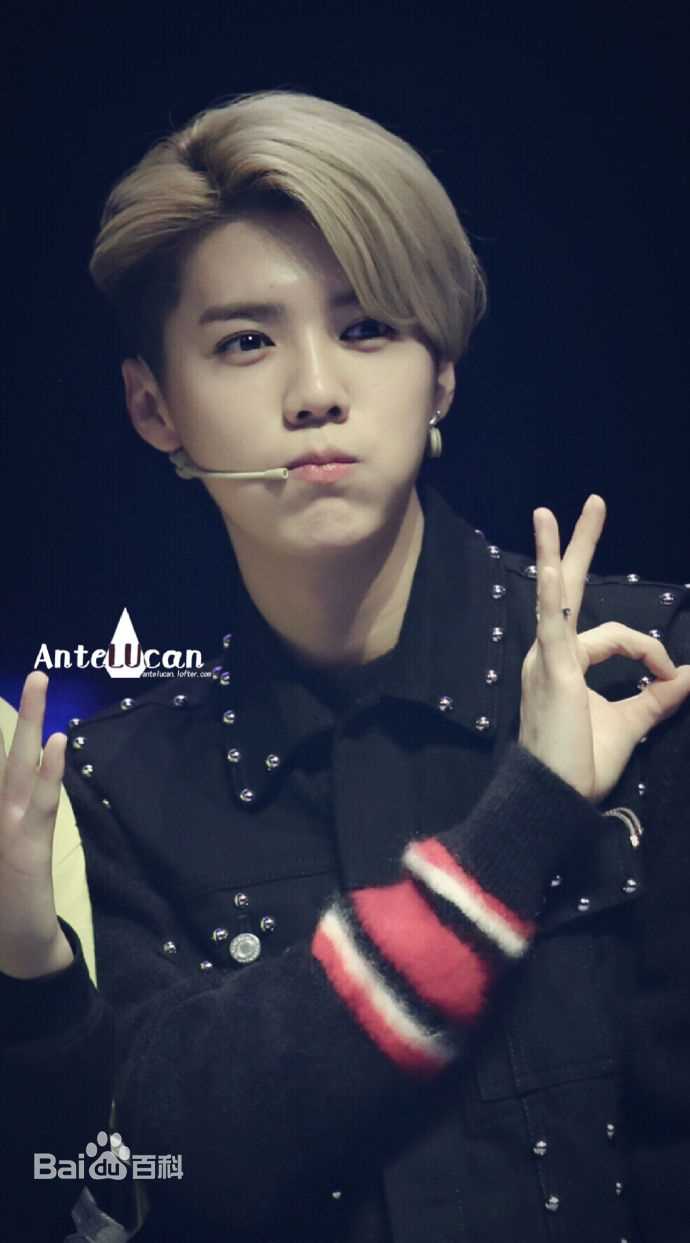 鹿晗(LUHAN)活动出席素颜照壁纸