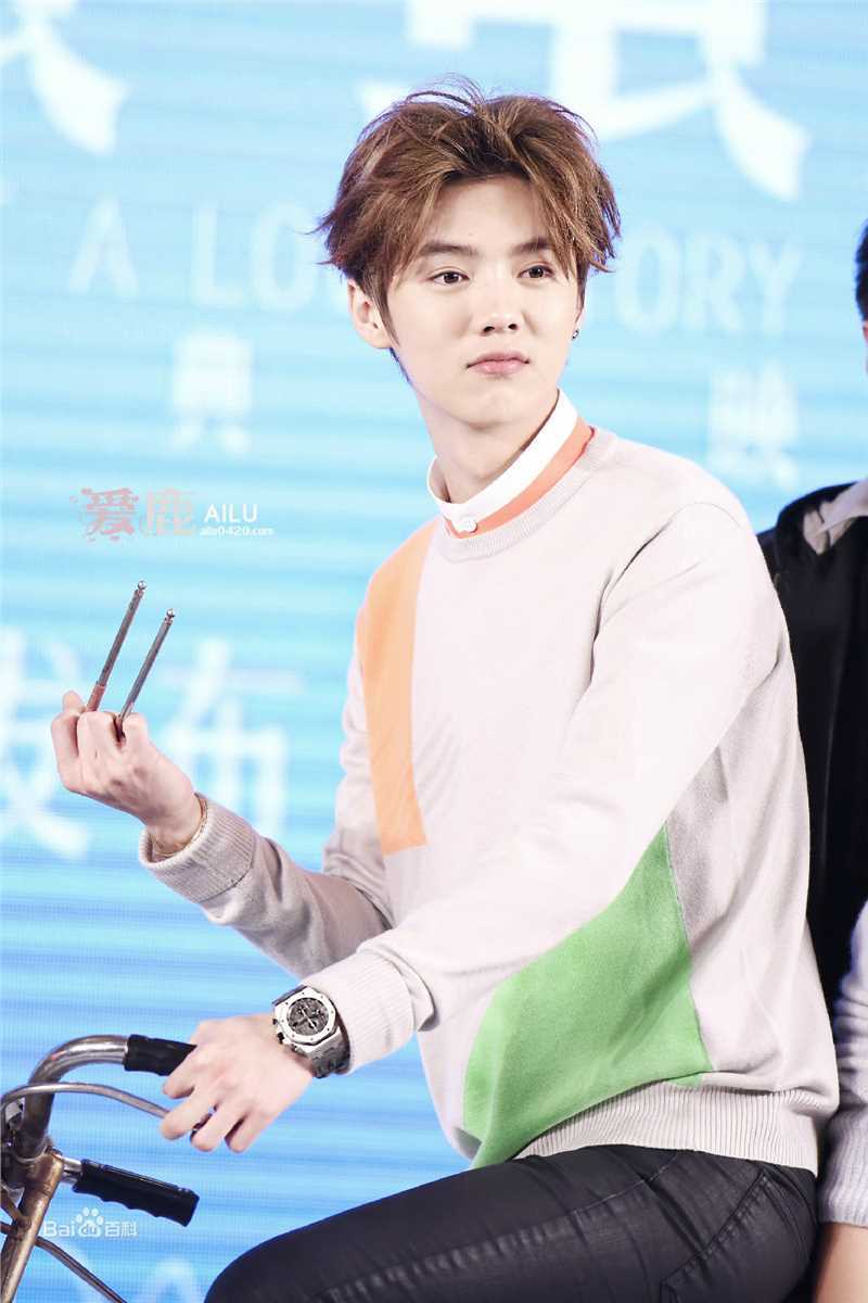 鹿晗(LUHAN)活动出席素颜照壁纸