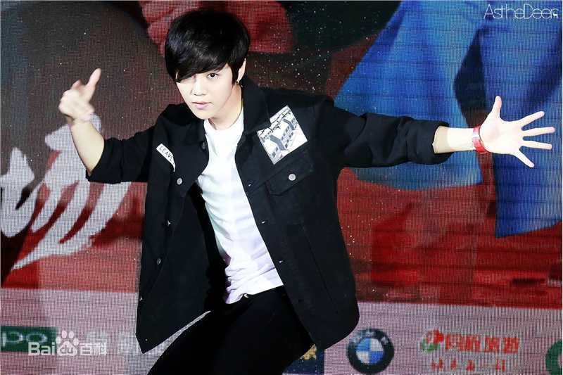 鹿晗(LUHAN)活动出席素颜照壁纸