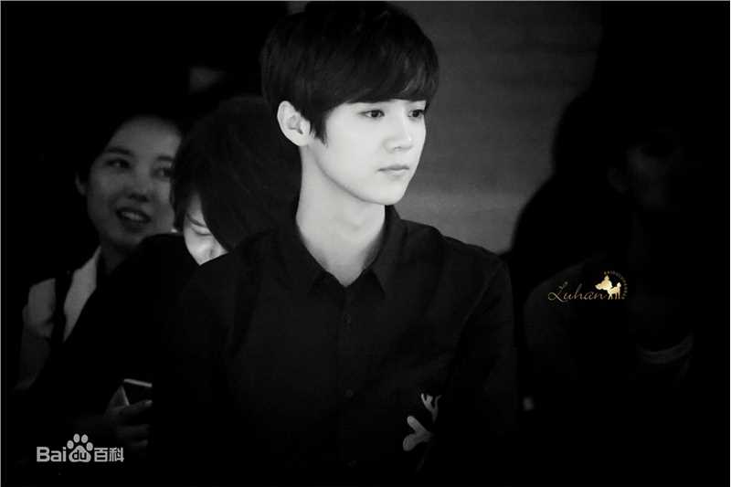 鹿晗(LUHAN)活动出席素颜照壁纸