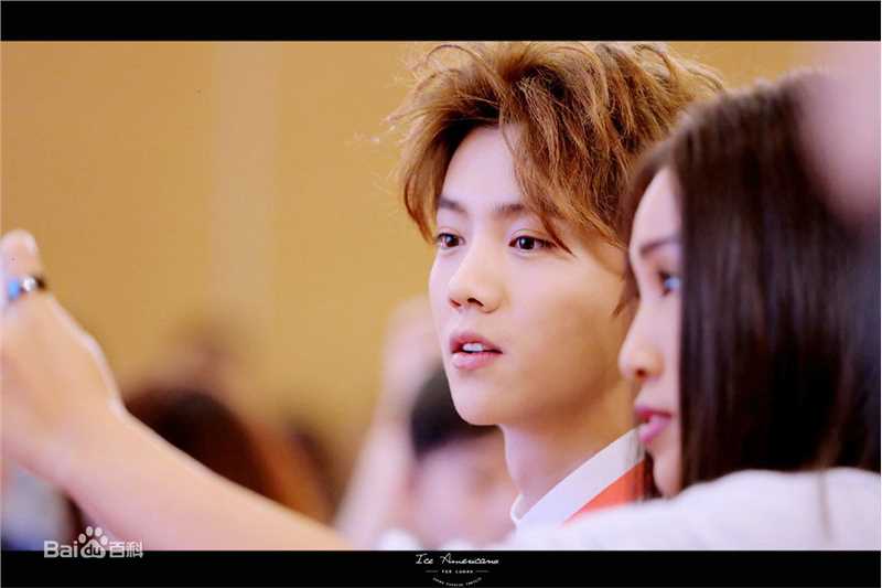 鹿晗(LUHAN)活动出席素颜照壁纸