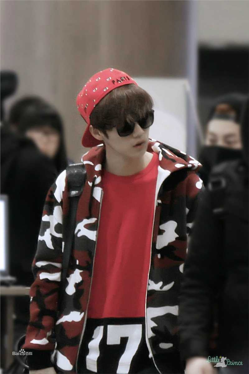 鹿晗(LUHAN)机场画报性感图片图集