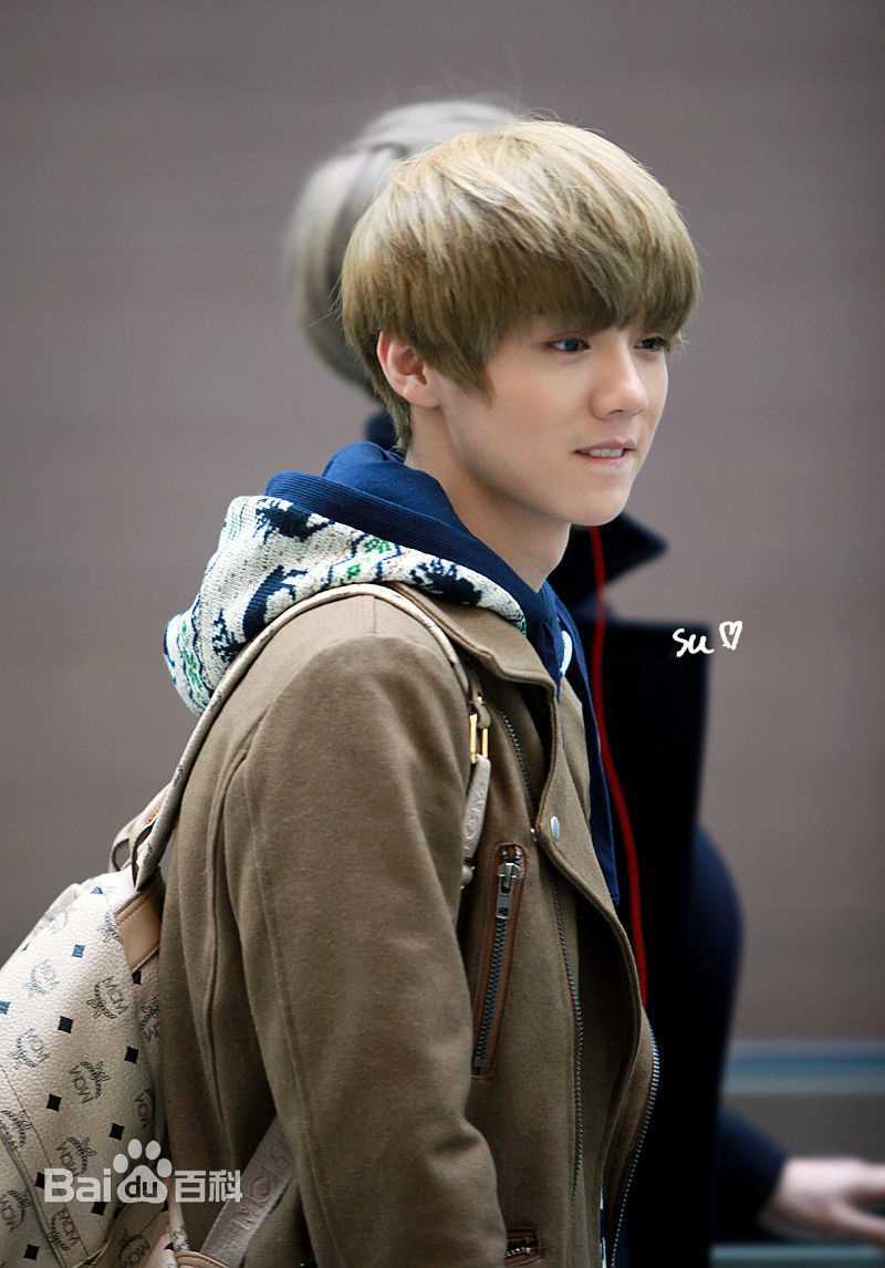 鹿晗(LUHAN)机场画报性感图片图集