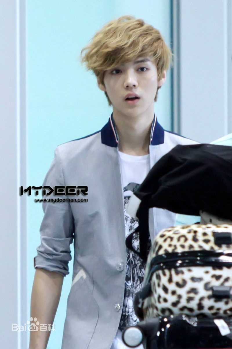 鹿晗(LUHAN)机场画报性感图片图集