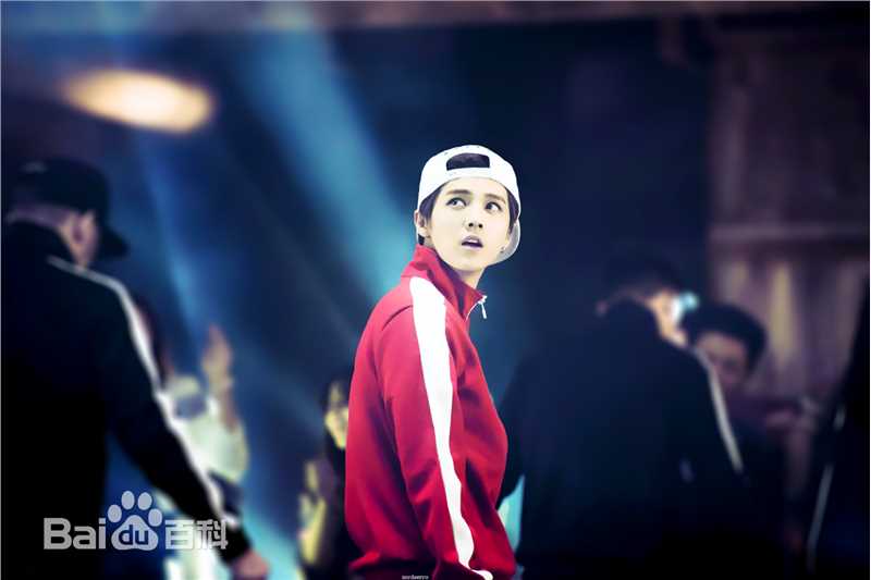 鹿晗(LUHAN)最优质专辑