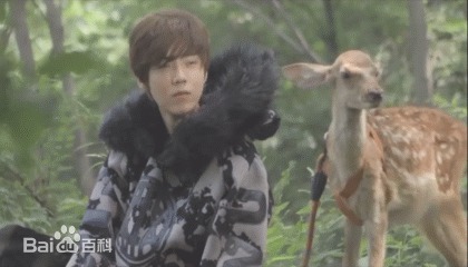 鹿晗(LUHAN)最优质专辑