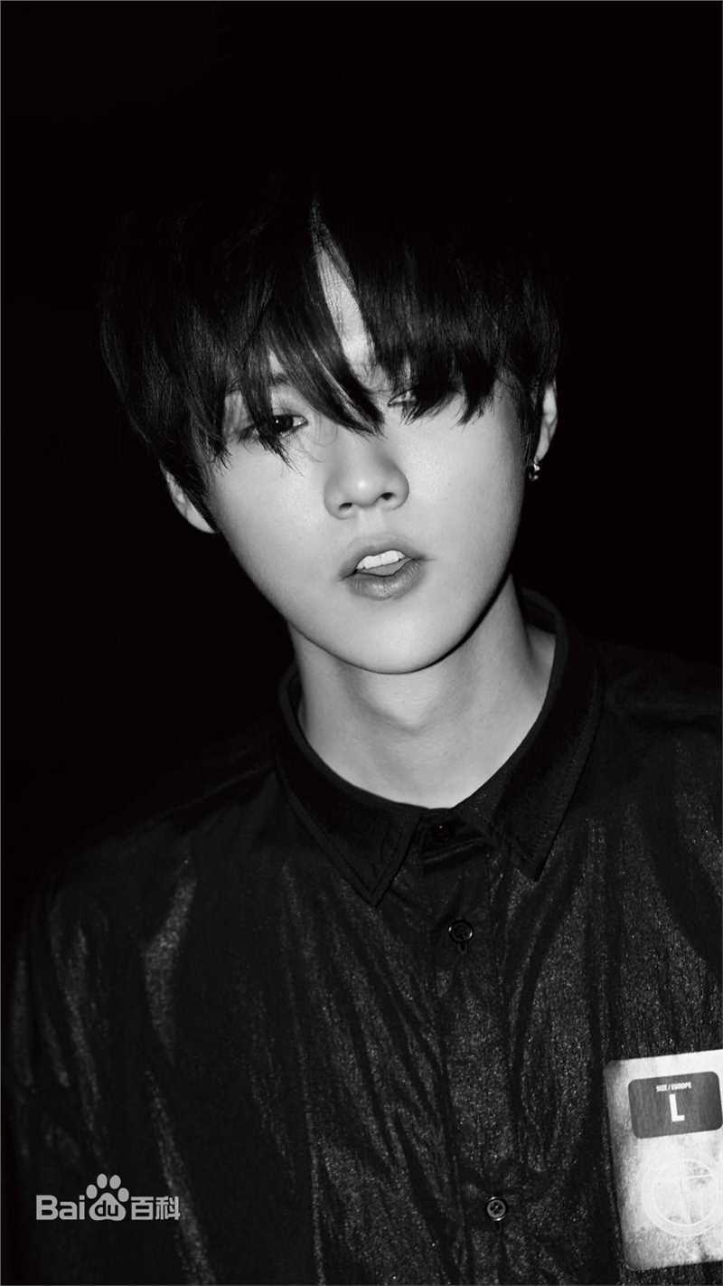 鹿晗(LUHAN)最优质专辑