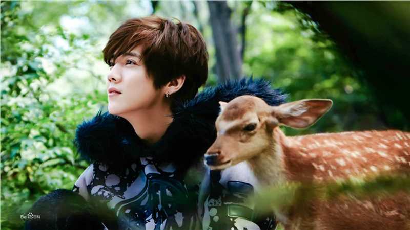 鹿晗(LUHAN)最优质专辑