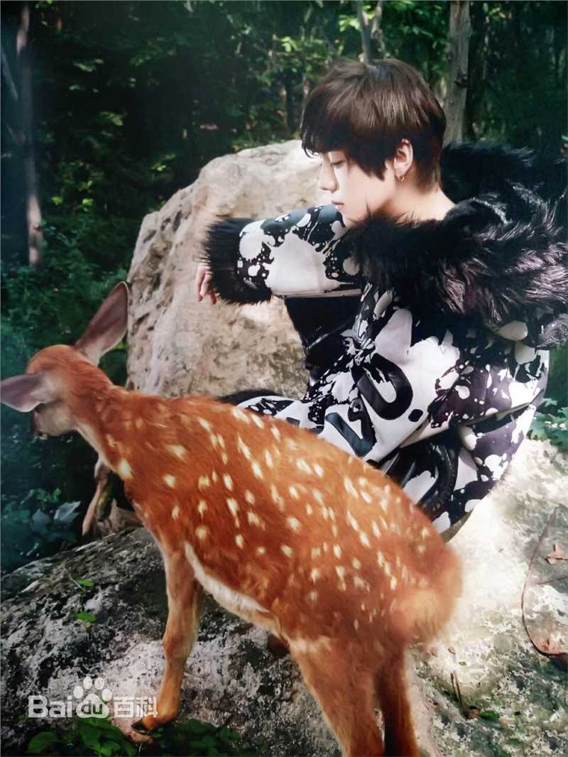 鹿晗(LUHAN)最优质专辑