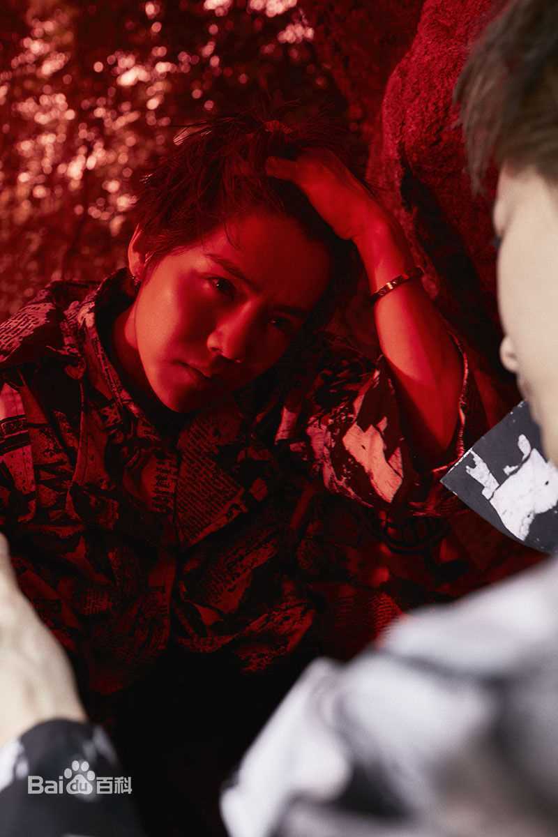 鹿晗(LUHAN)最优质专辑