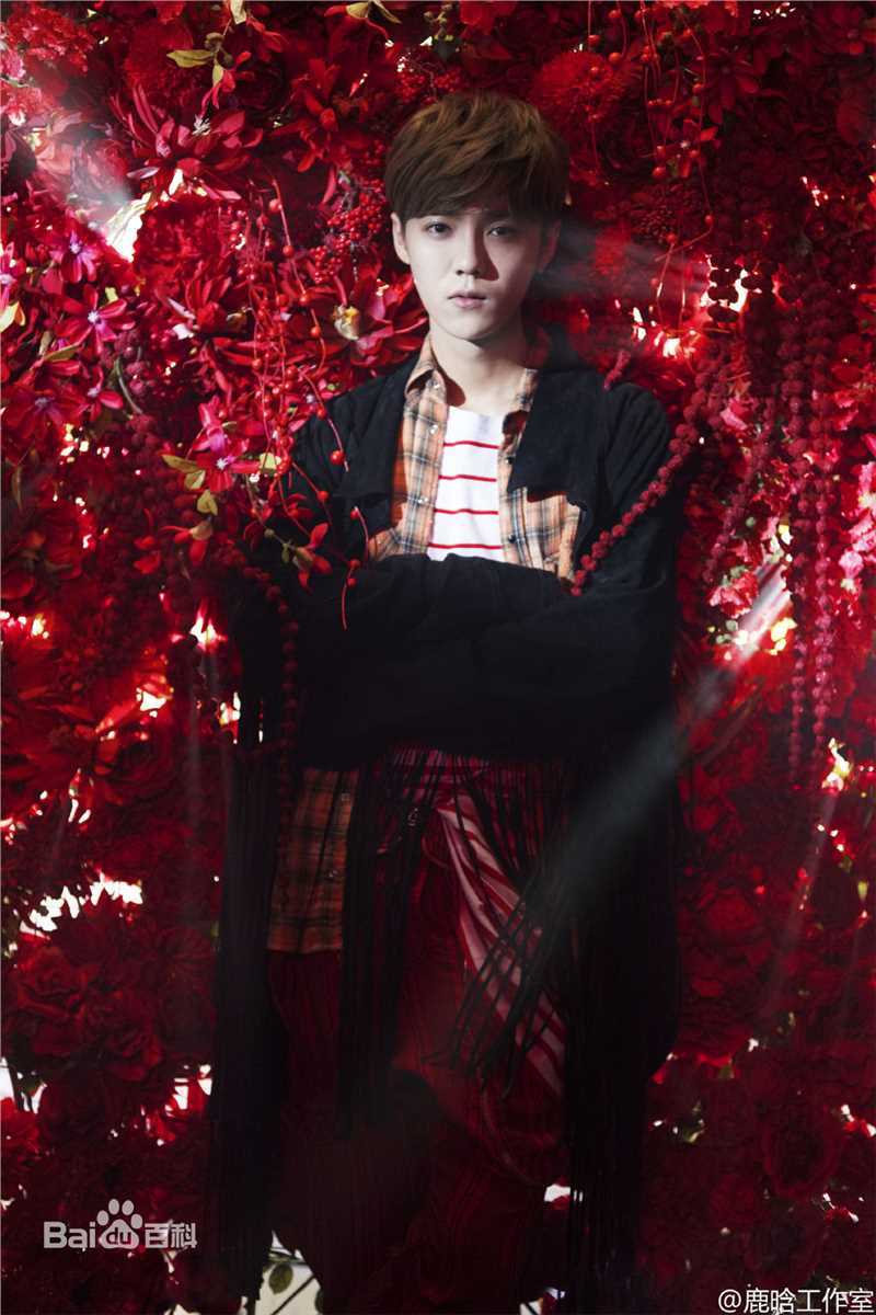 鹿晗(LUHAN)最优质专辑